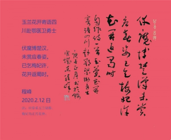 程峰《自作诗一首-玉兰花开寄语四川赴鄂医卫勇士》书法