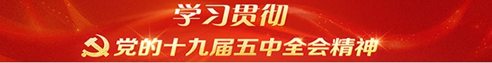 学习贯彻十九届六中全会精神